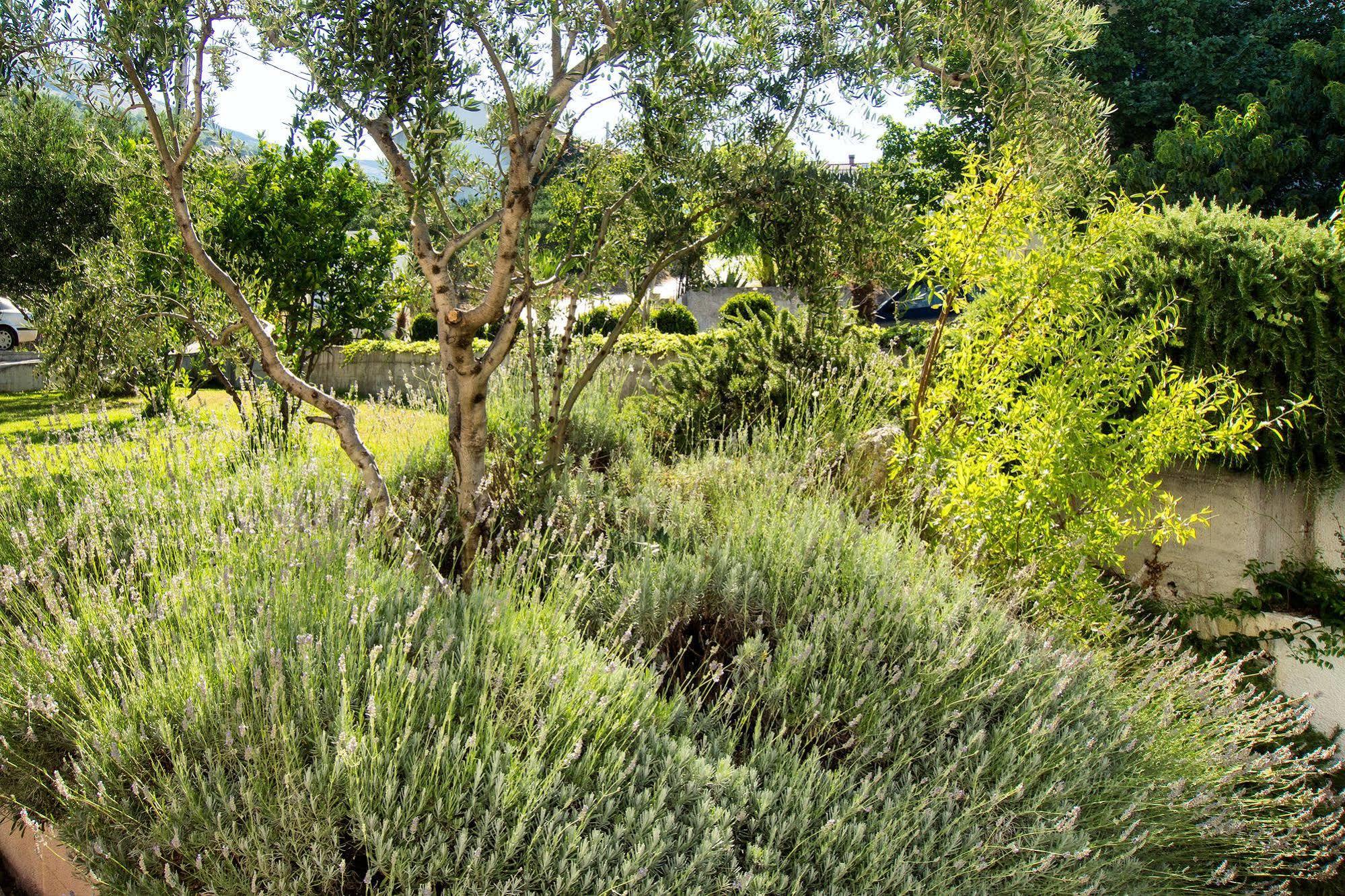 Villa Lavanda Podstrana Eksteriør bilde